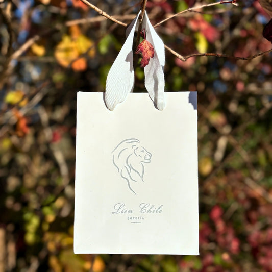 Bolsa para regalo